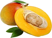 Mango Seed Extract